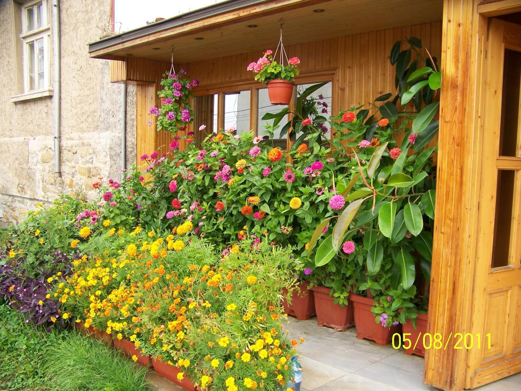 Hotel Comfort Veliko Tarnovo Kültér fotó